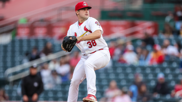 Springfield Cardinals | MiLB.com