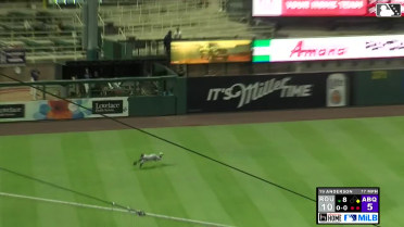 Cody Freeman makes diving catch