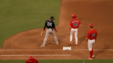 Matthew Ferrara gets first professional hit