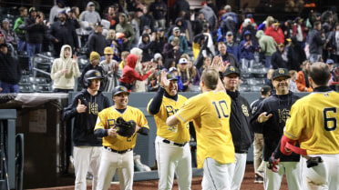 Padlo Delivers Walk-Off Bees Win