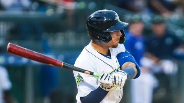 Fireflies Drop Back-and-Forth Contest 11-9