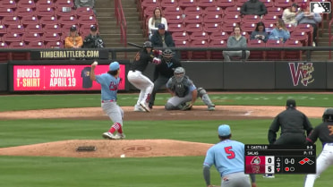 Gerardo Salas In play, run(s) to Luis Castillo