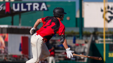 Hopfe and Hobson hammer homers, but Fresno falls 10-5 to San Jose