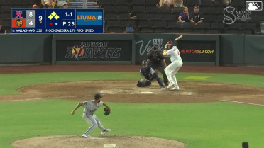 Domingo Gonzalez In play, run(s) to Chad Wallach