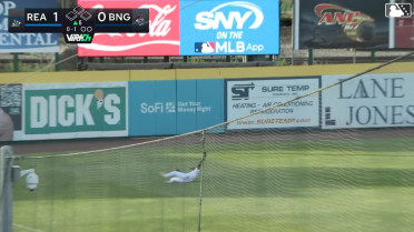 Mets prospect Jose Ramos' combo catch