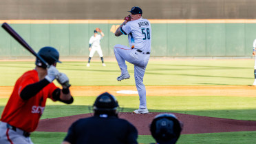 Brown Strikes Out Seven In Rehab Outing