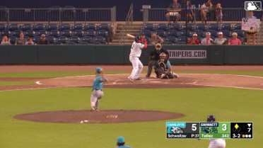 Tyler Schweitzer In play, run(s) to Rowdy Tellez