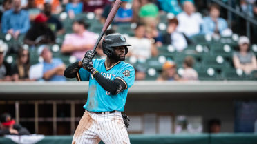 Schultz Impresses on Sunday but Knights Fall 6-4