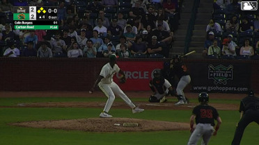 Carlson Reed In play, run(s) to Colin Burgess