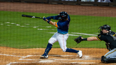 Salazar's Go-Ahead Homer Sends Sugar Land To Series-Opening Win