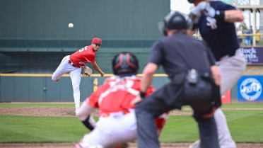 Balanced Performance Powers Bats To 8-1 Victory 