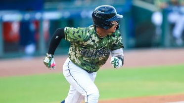 Fireflies Rally in Ninth to Upset Pelicans