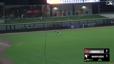 Tyler Whitaker makes a sweet diving catch in left