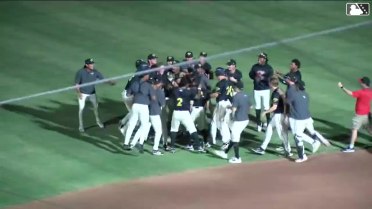 Kevin Fitzer's walk-off single