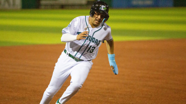 Stewart Connects for First Pro Homer, but Tortugas Fall 8-3