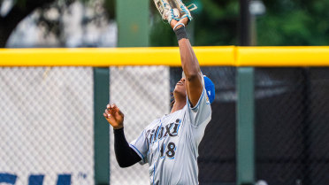 Coley Makes Catch of the Year Candidate, Shuckers Doubled by Clingstones