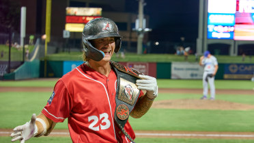 Fitz-Gerald Delivers Dramatic Homer for Victory