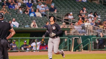 Columbus Overpowered by Birmingham in 8-5 Series-Opening Loss