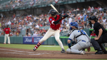 Nelson’s Three-Run Blast Powers Grizzlies Past Rawhide
