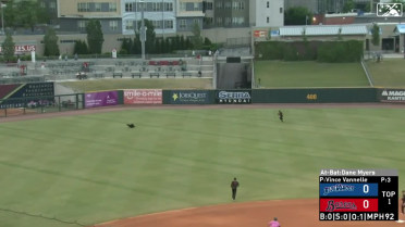 Luis Mieses makes sprawling catch for Double-A