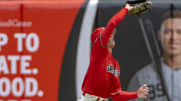 Grizzlies Erupt Again, Secure Series in Ontario