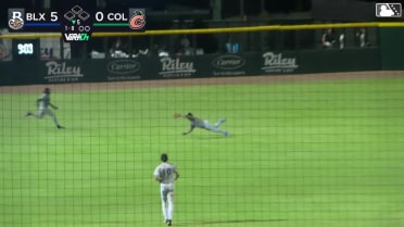 Eric Brown Jr.'s impressive diving catch