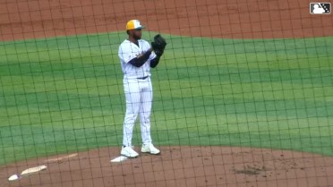 Luke Dickerson's amazing sliding catch