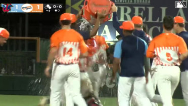 Astros prospect Rolando Espinosa's walk-off knock