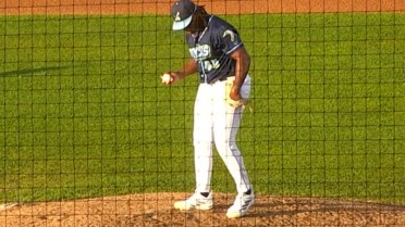 Nationals No. 17 prospect Miguel Sime Jr. fans seven