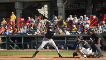Arias’ Three-Hit Day Not Enough as Somerset’s Late Rally Falls Short