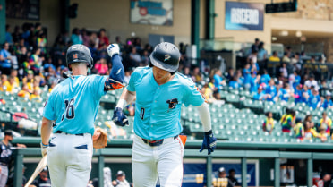 Ferreras Delivers Go-Ahead RBI As Space Cowboys Top Comets