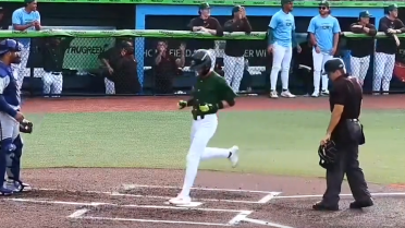 Mulivai Levu's two-run home run