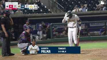 Alberth Palma singles on a ground ball to left fielder Erick Dessens. Dean Moss scores. Tom Poole to 2nd.