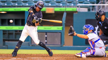 Grizzlies Set Back by Quakes