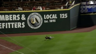 Josh Adamczewski's diving catch
