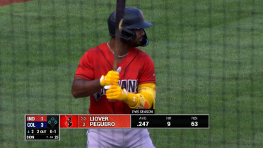 Liover Peguero's two-homer game