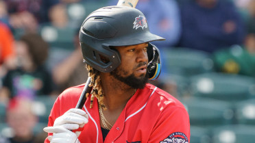 Fisher Cats defeated in season finale