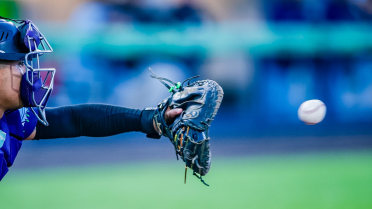 Three Solo Homers Lift Everett Past Hops in Series Opener