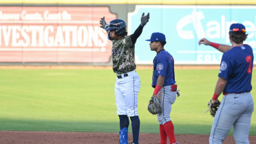 Ramos Lifts Fireflies to Walk-Off Win 