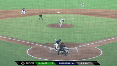 Johnson crushes first two pro home runs for Riverdogs