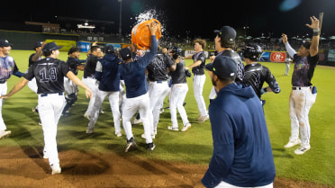 Johnson Provides Magical Walk-Off in Front of Sell-Out Crowd 