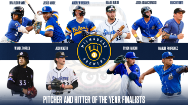 10 Shuckers Named Finalists for Brewers Robin Yount Performance Awards