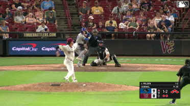 Daniel Corniel In play, run(s) to Luke Pelzer