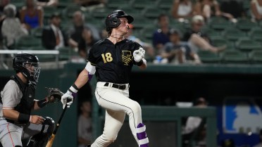 Grizzlies Derailed After 6th Inning