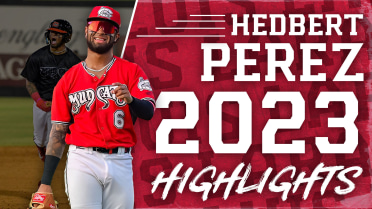 Hedbert Perez 2023 Highlight