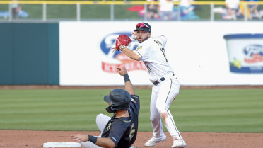Bees Fall to River Cats