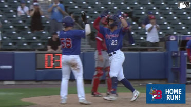 Damiano Palmegiani's 14th homer of the year