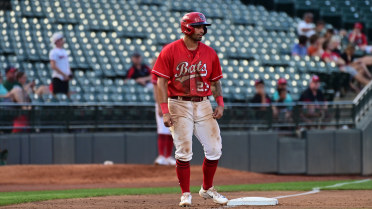 Delgado, Sounds Topple Bats in 7-3 Opener