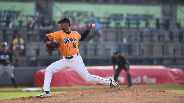 Aug. 13: Ducks rally for 6-4, 10-inning win in Reading