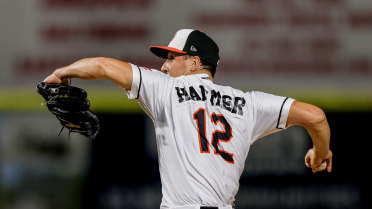 Baysox battle back in Saturday victory